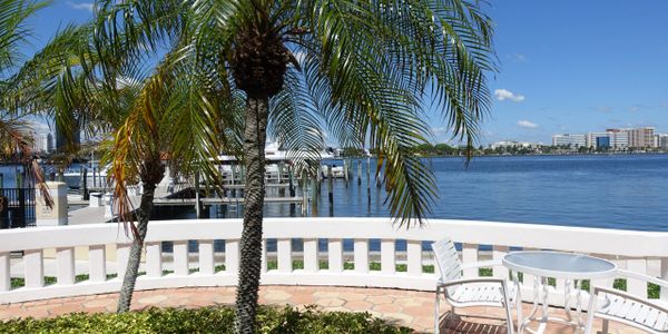 View of the private dock and Intracoastal with one palm tree at the Biltmore, Palm Beach