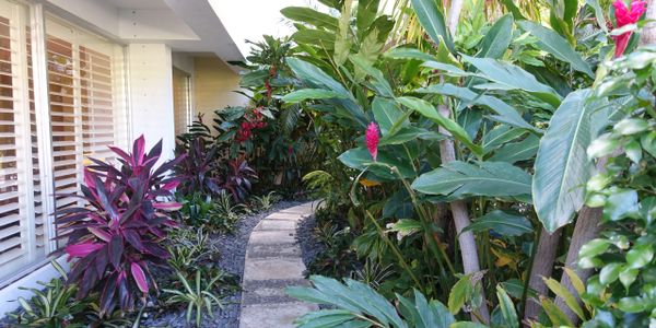 Eliot House, 434 Chilean Ave, Palm Beach, view information and mls listings, condos for sale, path to pool, Jacqueline Zimmerman, Realtor (561) 906-7153, Adam Zimmerman, Realtor (561) 906-7152.