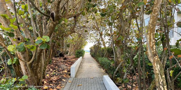 Cove, 2784 S Ocean Blvd., Palm Beach, path to deeded beach access to beach, Ocean