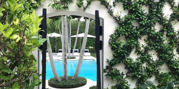 New construction Palm Beach homes