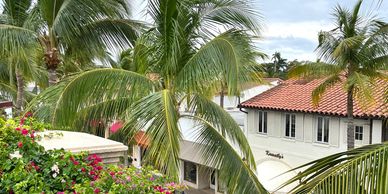 Coming soon properties, Palm Beach luxury homes for sale, Palm Beach luxury condos for sale