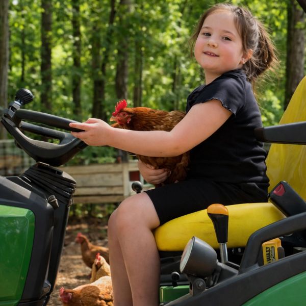 Girl holding a chicken on a tractor seat.