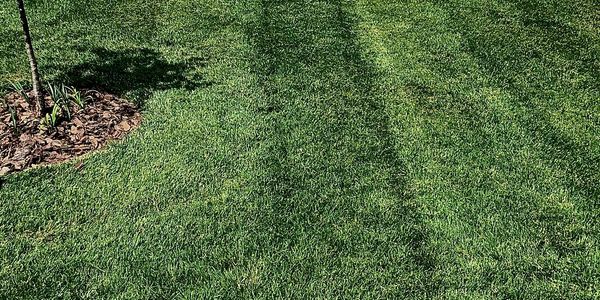 Landscaping
Grading
Excavating
Lot clearing
Land clearing
Brush clearing
Tree service
Demolition