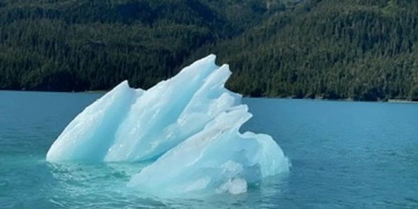 Alaska Summer, Iceberg, Glacier Calving, Ocean, on the water, charter 