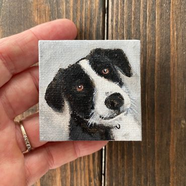 dog portrait, mini dog portrait, mini dog painting, lisa fasulo, hand painted pet portrait