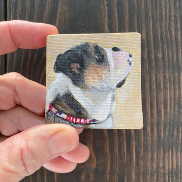 dog portrait, mini dog portrait, mini dog painting, lisa fasulo, hand painted pet portrait