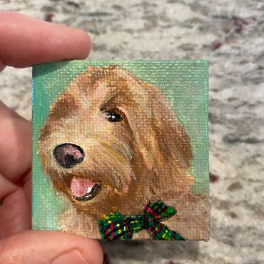 dog portrait, mini dog portrait, mini dog painting, lisa fasulo, hand painted pet portrait