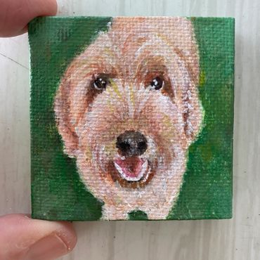 dog portrait, mini dog portrait, mini dog painting, lisa fasulo, hand painted pet portrait