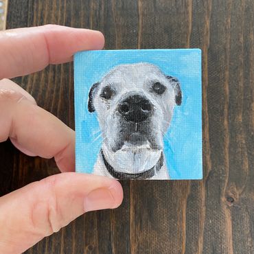 dog portrait, mini dog portrait, mini dog painting, lisa fasulo, hand painted pet portrait