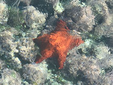 Spectacular snorkeling