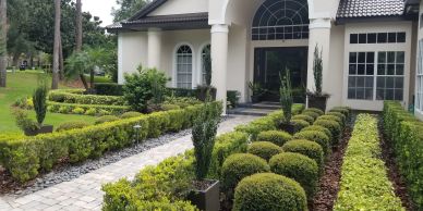 Elegant house entrance with manicured garden and paved walkway.
