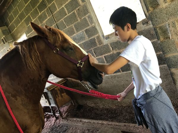 Takumi Saito 4-H International Exchange Student