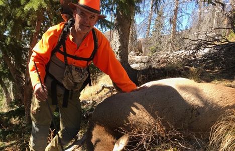Successful harvest of a cow elk