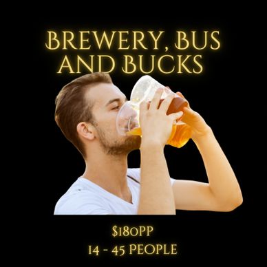 Hunter Valley Brewery, Bus and Bucks Package, bucks drinking beer brewery tasting and brewery tour