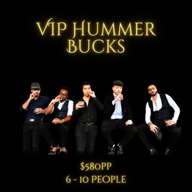 bucks hummer hire, bucks party ideas, bucks party Newcastle, Sydney bucks packages