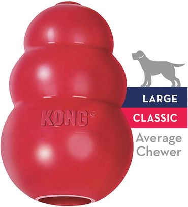 Kong dog chew toy, chew toy, amazon pets