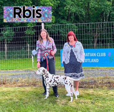 Two women with a Dalmatian at a dog show, one holding a rosette.
