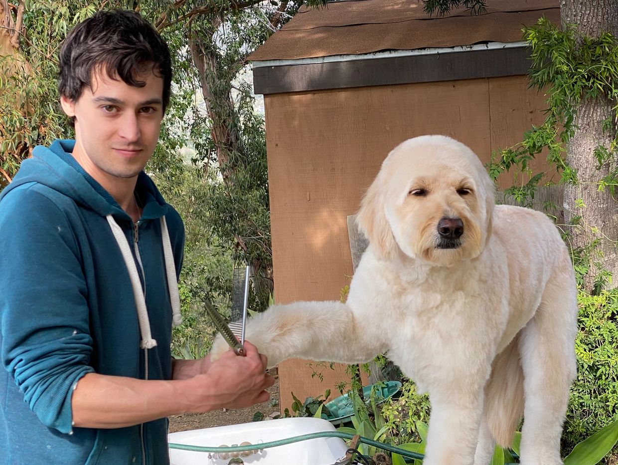A man grooming a large fluffy dog outdoors on a grooming table.