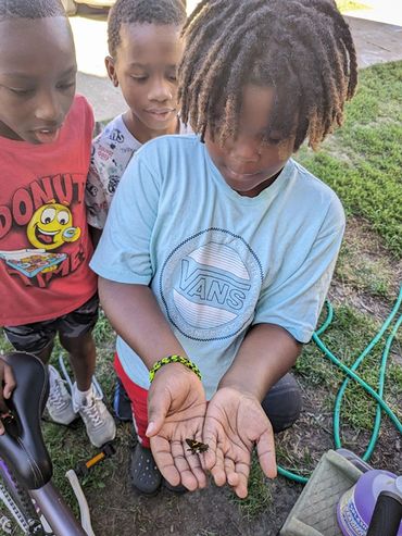 Learning Begins at Home Day Care