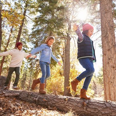 Three kids balancing on a fallen tree in the forest.