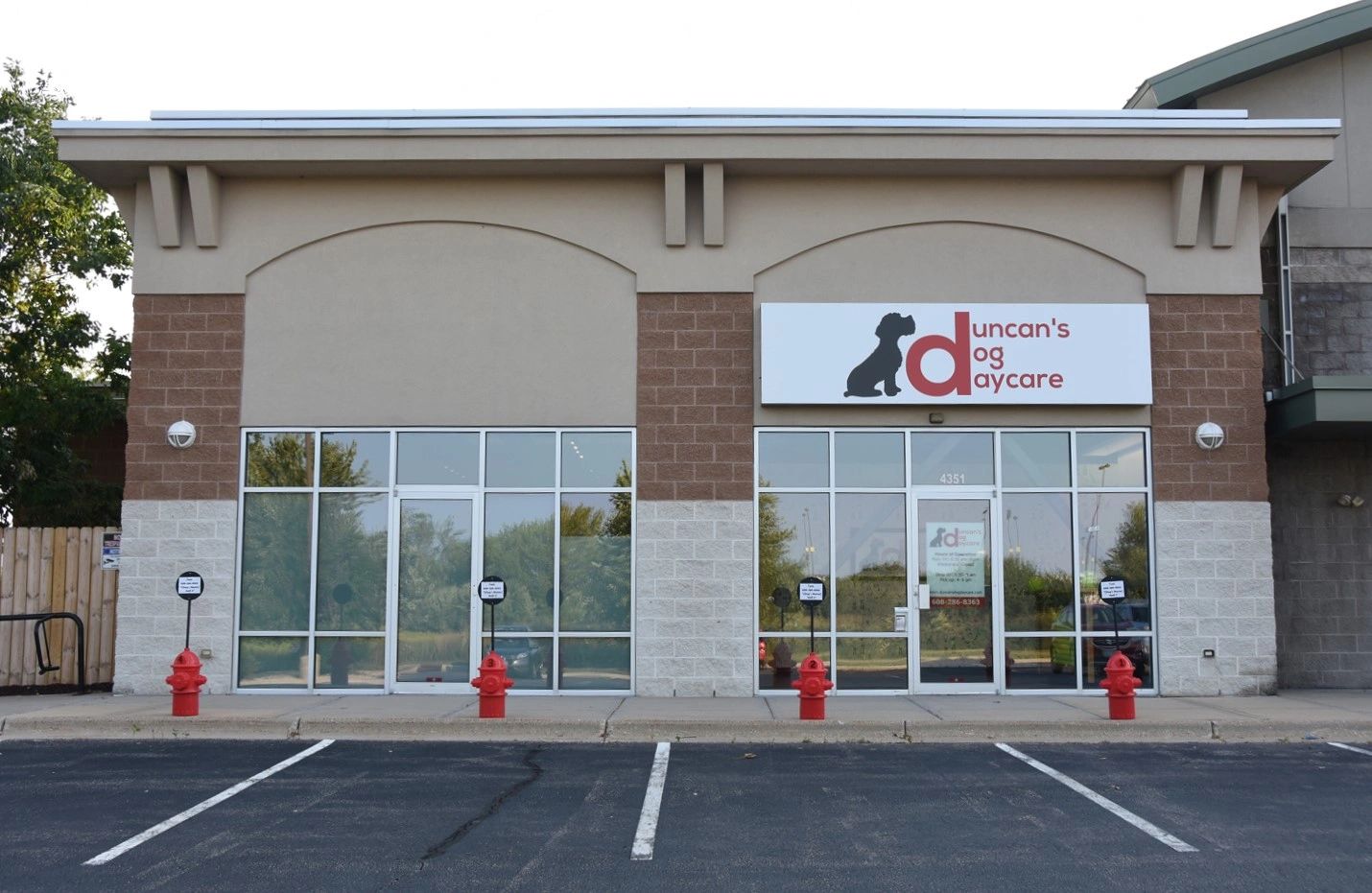 Duncan's Dog Daycare