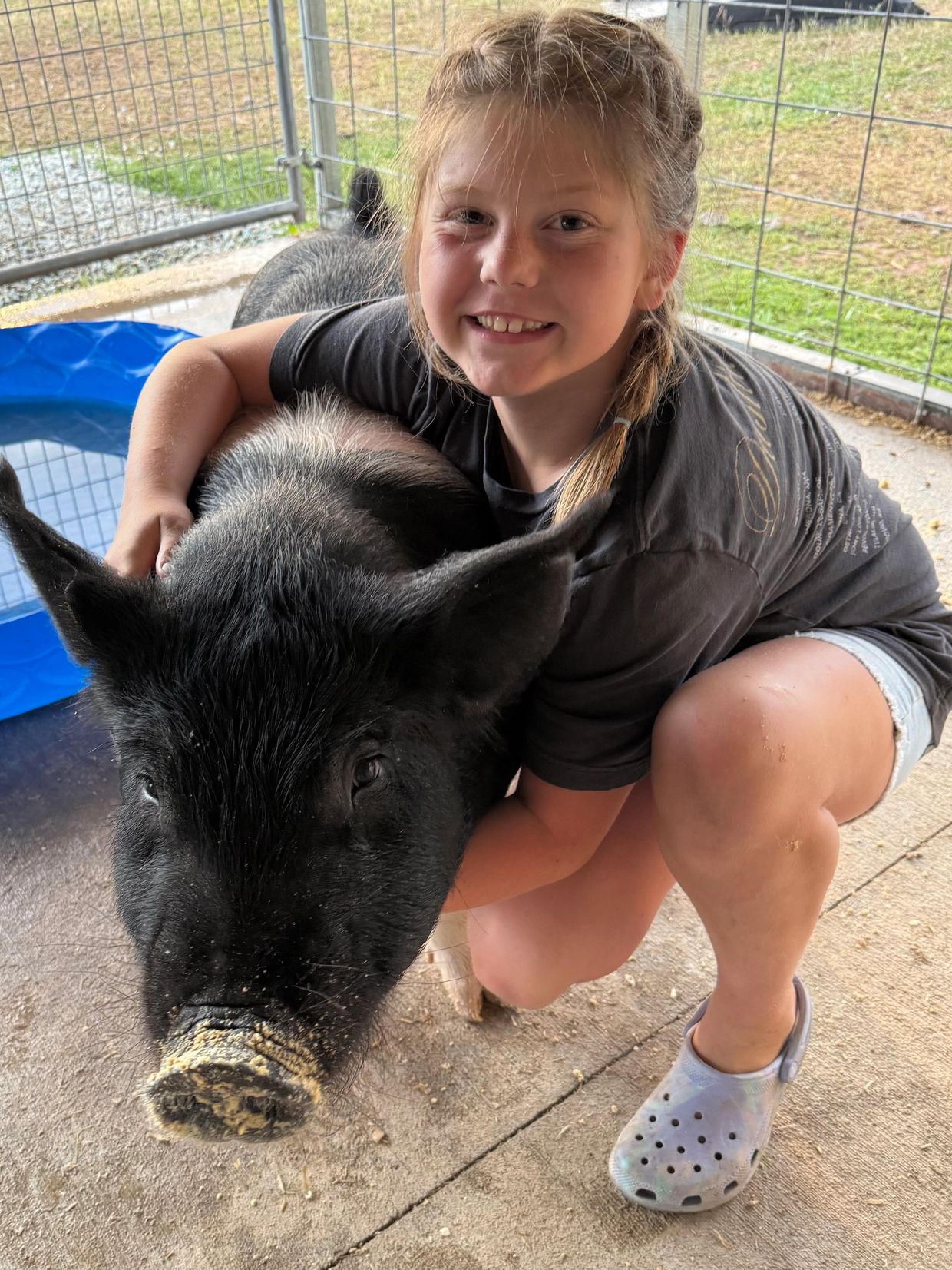A smiling girl hugs a large black pig inside a fenced area.
