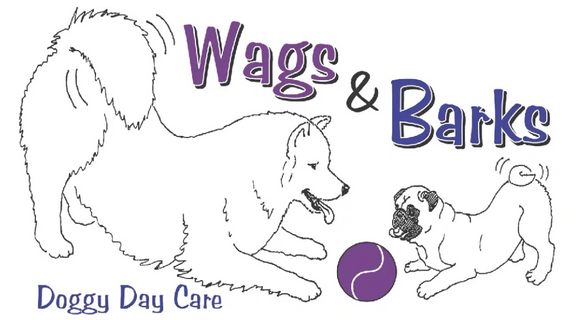 Wags & Barks Doggy Day Care