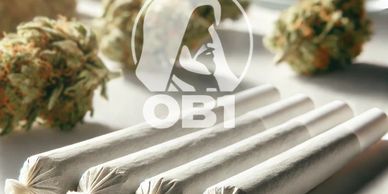 pre rolls near me premium infused pre rolls Obi-Wan Cannabis Sunland Park
cannabis pre rolls near E