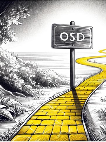 the Online Shopping District OSD a new way to shop online where you Find what you are looking for