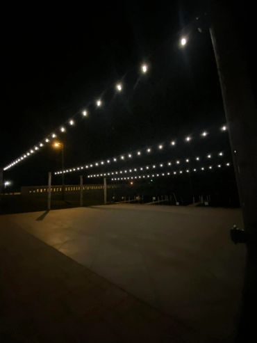 Tom's Donuts Party Lights