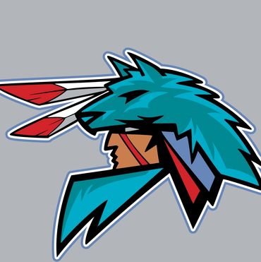 team logos