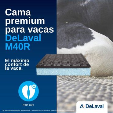 Cama para vaca en estabulado