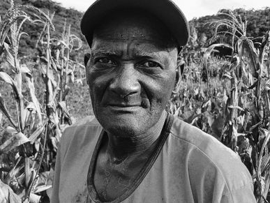A black farmer in the field