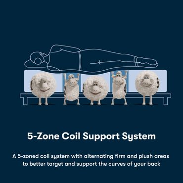 Cartoon sheep illustrating 5-zone coil support system for back.