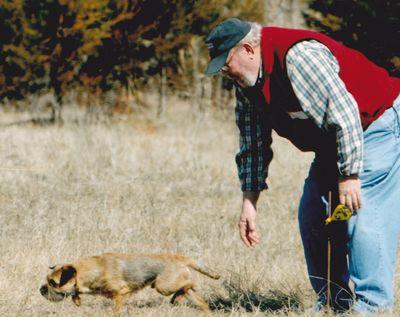An Earthdog  trial is open to all terriers and dachshunds and consists of three  different levels.