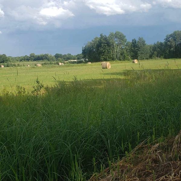A rural field with hay bales under a cloudy sky.