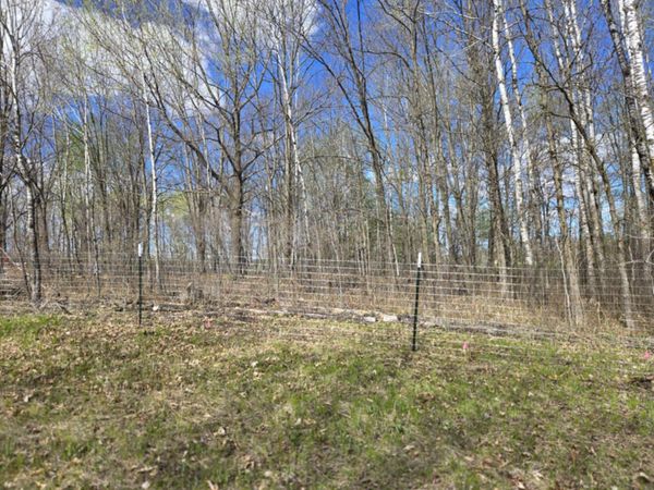 Wire fence enclosing a wooded area with leafless trees under a clear blue sky.