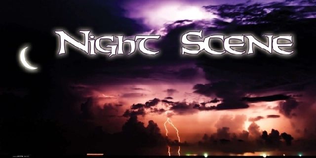 Night Scene DJ