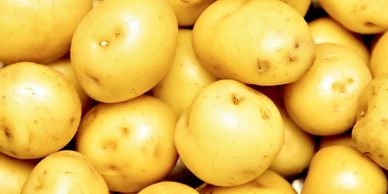 Blue Sky Farms of Florida
Yellow Potatoes
