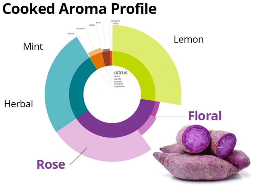 Blue Sky Farms of Florida
Purple Sweet Potato Cooked Aroma Info-Graphic
