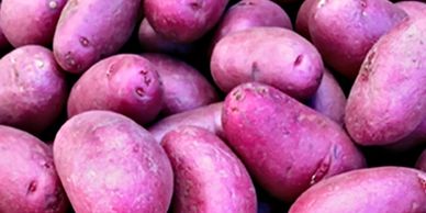 Blue Sky Farms of Florida
Purple Potatoes