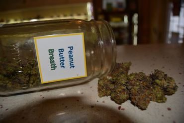 Our house indoor Peanut Butter Breath! Indica Dominant Hybrid! One of our customer favorites! 