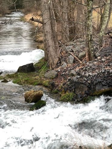 Fishing Creek contains two of the largest springs in Pennsylvania. One is the Tylersville Hatchery s
