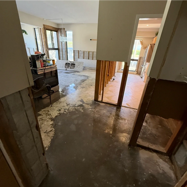 a fully complete mold remediation and demo job!