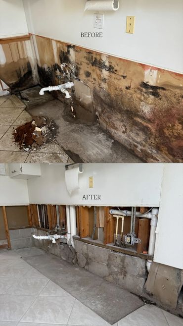 A nasty mold problem that was hiding behind kitchen cabinets before and after professional remediation