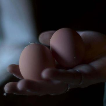 A hand holding two farm fresh eggs.