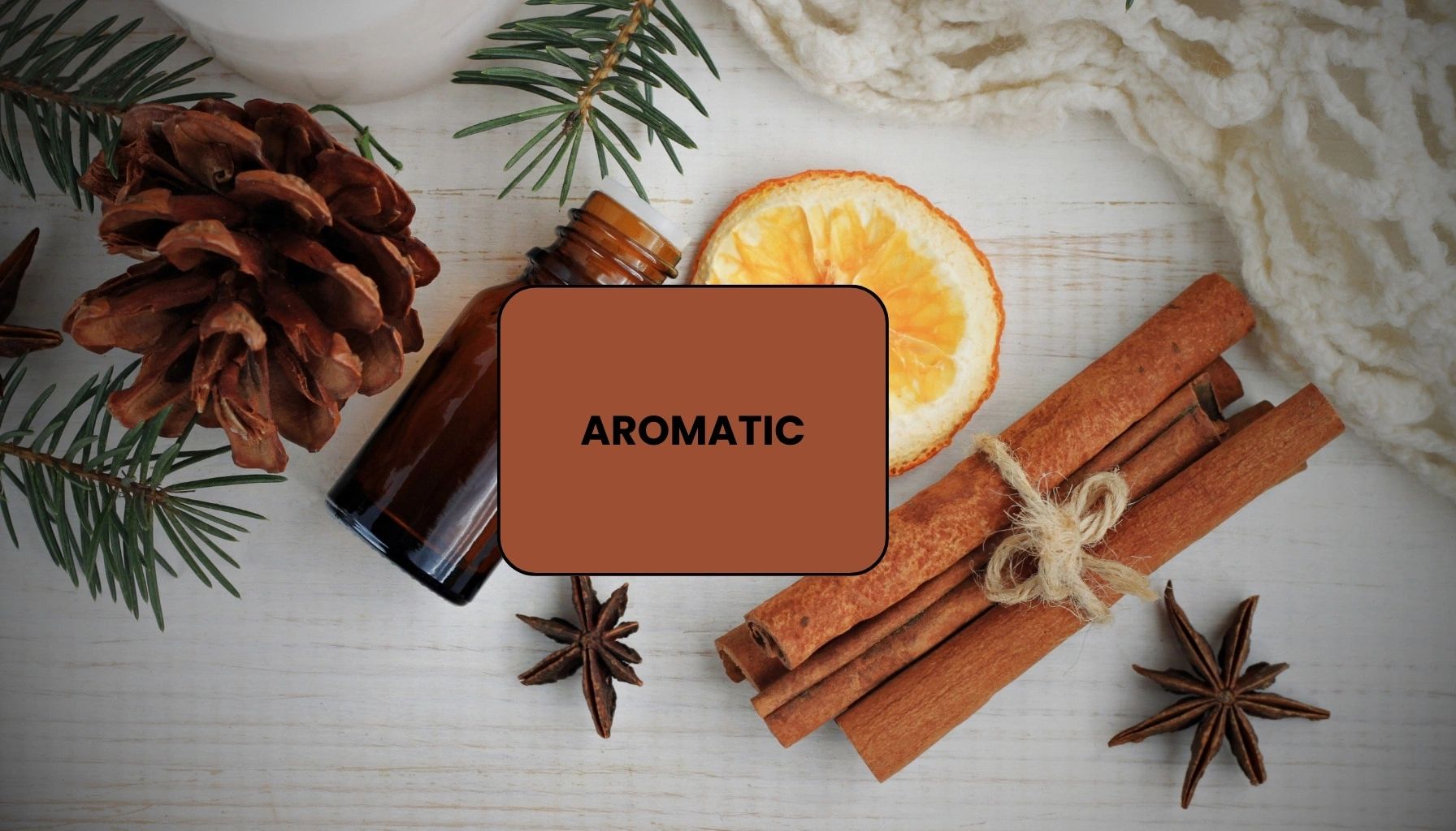 Aromatic Fragrance section - Fragrance Finder - Edge By Piazza