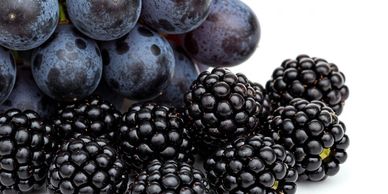 Fragrance Finder - Fragrance Description - Edge By Piazza - Blackberry & Grape