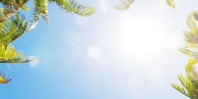 Fragrance Finder - Fragrance Description - Edge By Piazza - Blue Fantasy