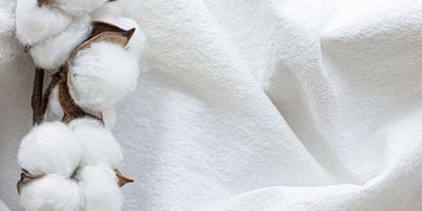 Fragrance Finder - Fragrance Description - Edge By Piazza - Cotton Blossom